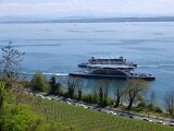 260418_Bluetenwanderung01_ (40)