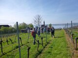 260418_Bluetenwanderung01_ (7)