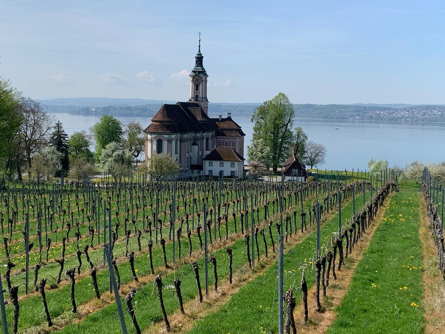 260418_Bluetenwanderung02_  (03).jpeg