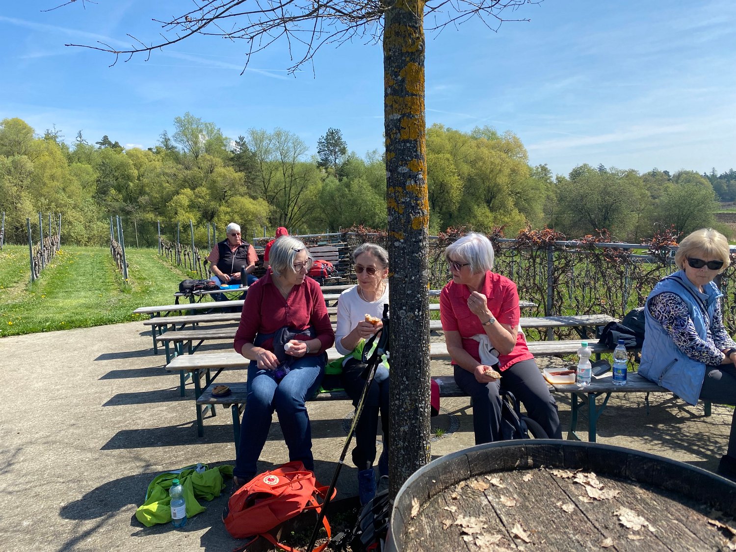 260418_Bluetenwanderung02_  (05).jpeg