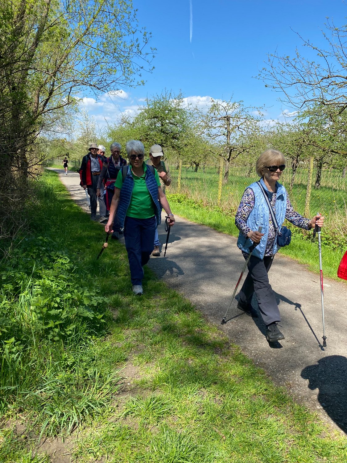 260418_Bluetenwanderung02_  (12).jpeg