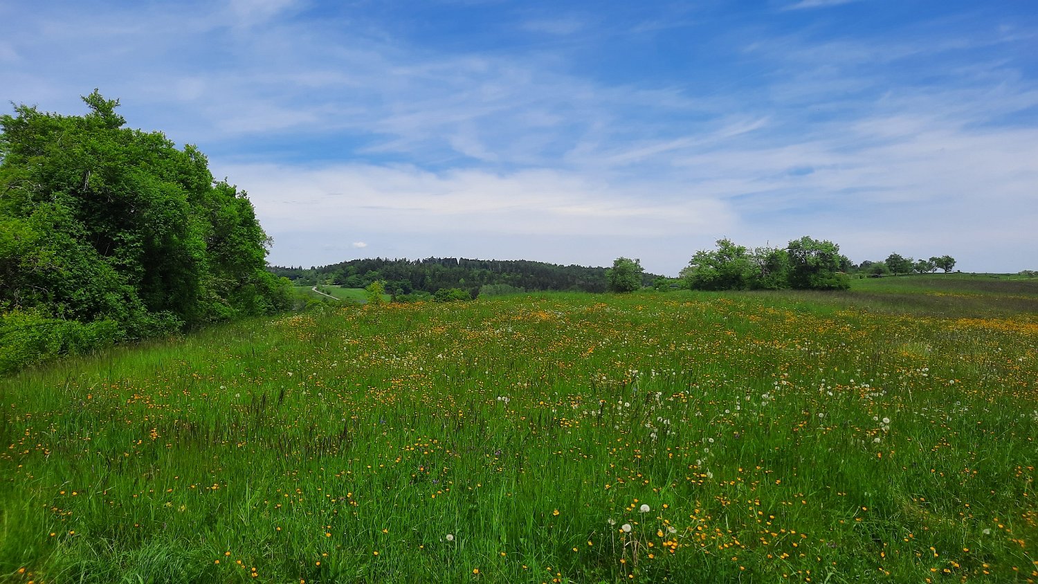 260510Binsdorf_ (25).jpg