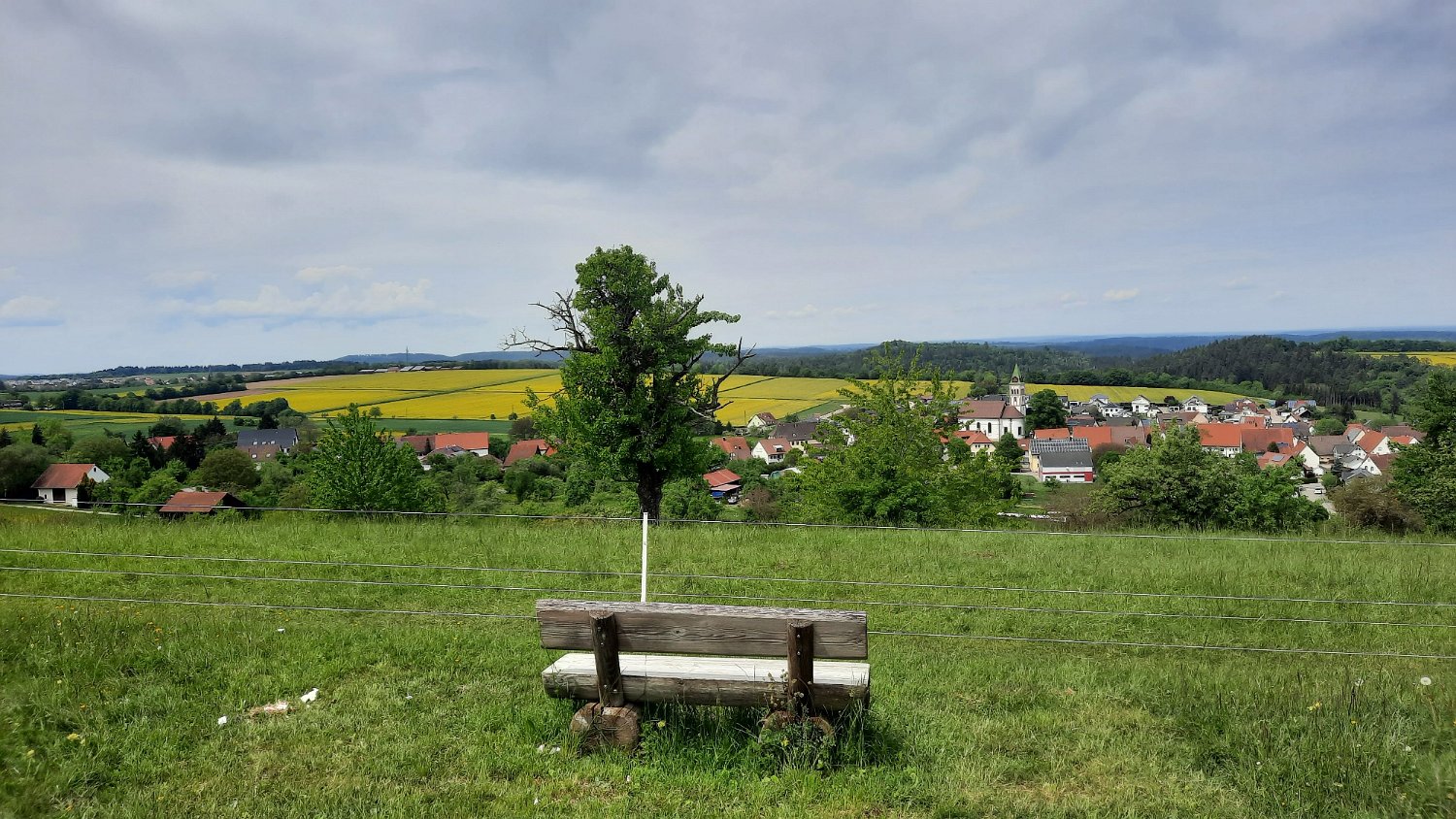 260510Binsdorf_ (27).jpg