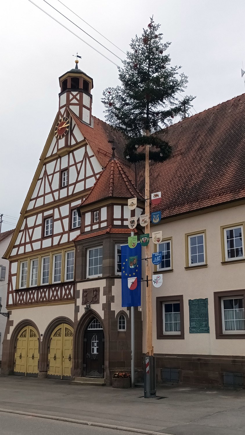 260510Binsdorf_ (38).jpg