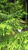 260510Binsdorf_ (13)