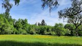 260510Binsdorf_ (17)