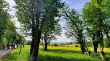 260510Binsdorf_ (19a)
