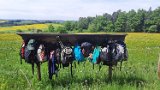 260510Binsdorf_ (29)