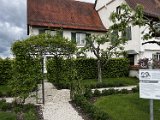 260519_Sen_Moerikeweg_40b