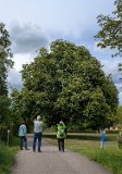 260519_Sen_Moerikeweg_59