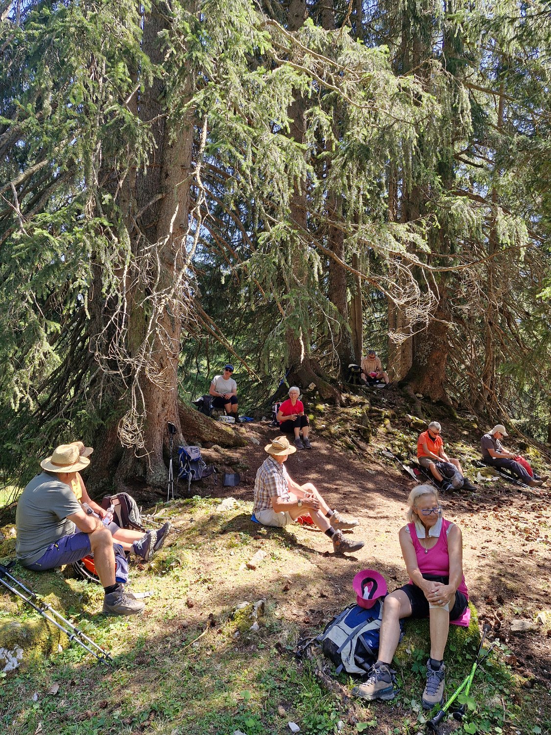 260815_Bergtour093.jpg - Rast an der Baumgrenze - der Schatten tut gut...
