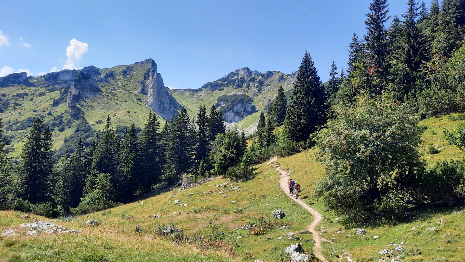 260815_Bergtour112.jpg - 14.30 Uhr...Auf dem Rückweg...Direkt vor uns mit dem Gipfelkreuz: Der Schartschrofen.. da oben waren wir.