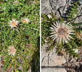 260815_Bergtour019a