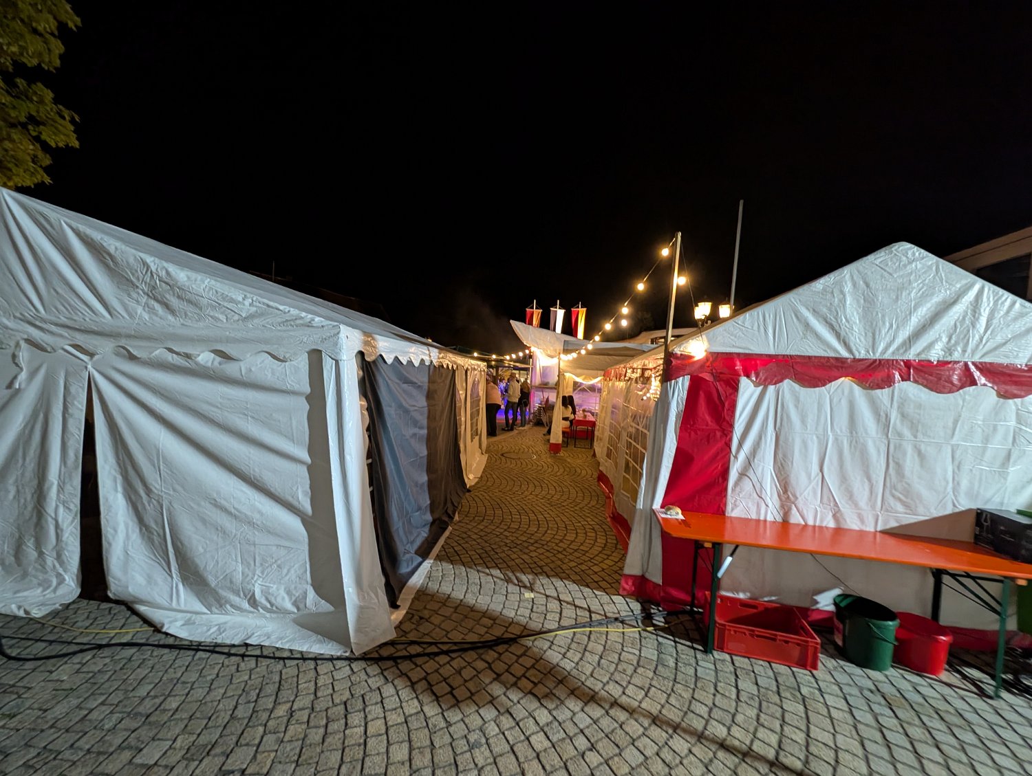 260913-12_Strassenfest_Albverein_20.jpg