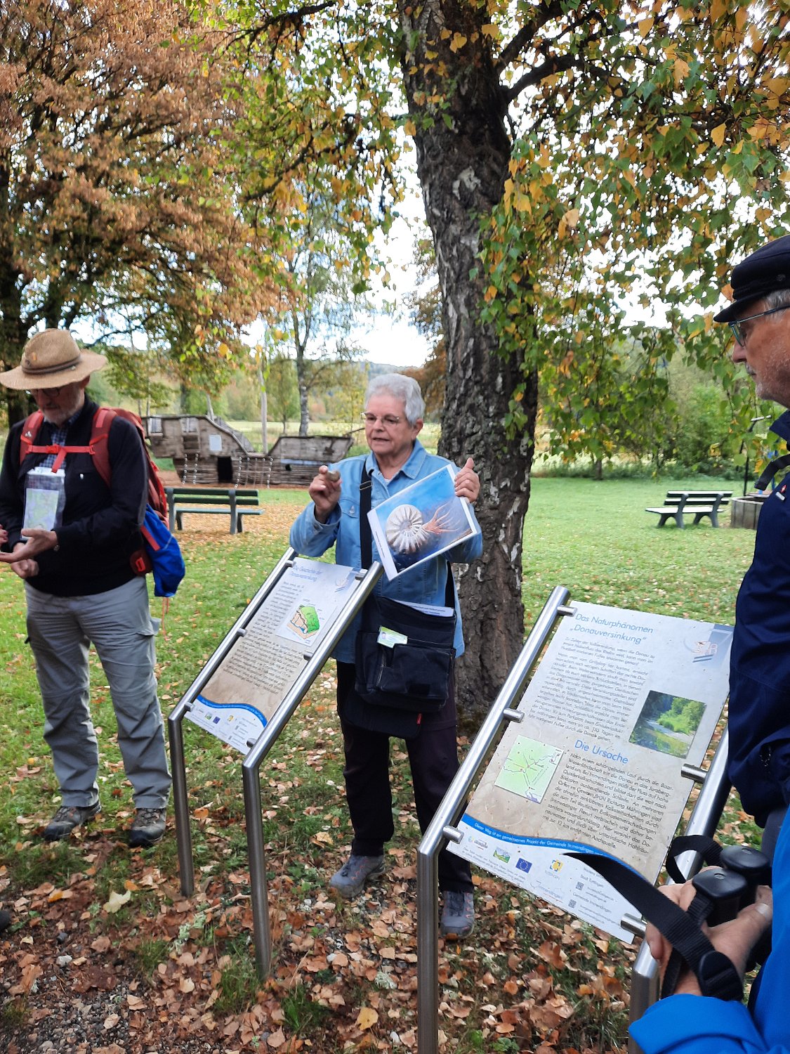 291011-donauversinkung_hoewenegg_06.jpg