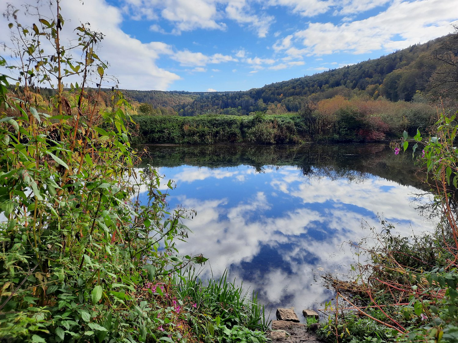 291011-donauversinkung_hoewenegg_10.jpg - An der "blauen" Donau...