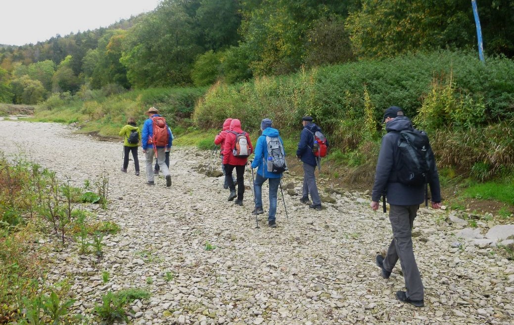 291011-donauversinkung_hoewenegg_28.jpg
