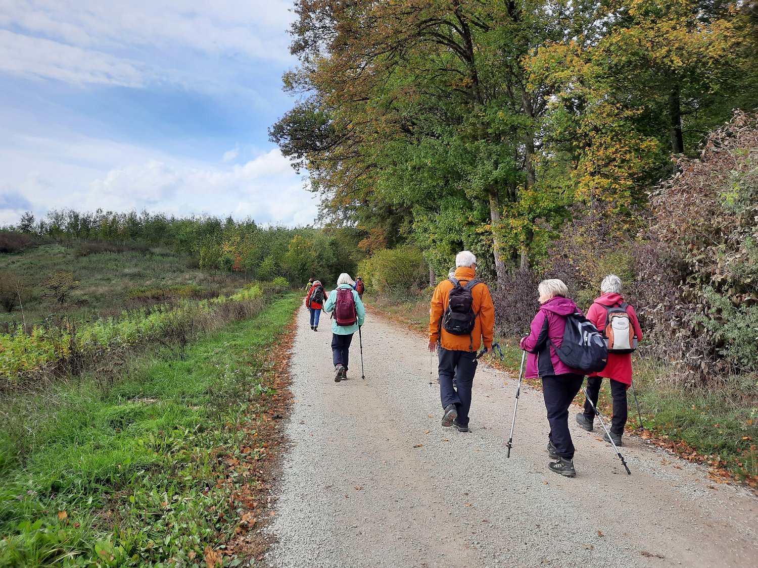 291011-donauversinkung_hoewenegg_38.jpg