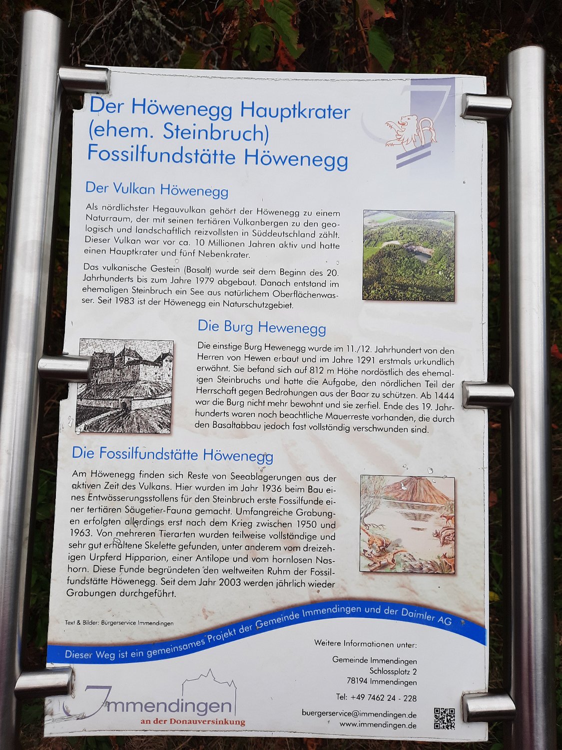 291011-donauversinkung_hoewenegg_39a.jpg