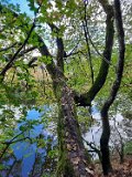 291011-donauversinkung_hoewenegg_11