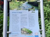 291011-donauversinkung_hoewenegg_19