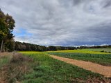 291011-donauversinkung_hoewenegg_35
