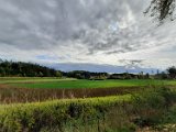 291011-donauversinkung_hoewenegg_37