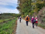291011-donauversinkung_hoewenegg_38
