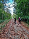 291011-donauversinkung_hoewenegg_46