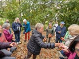 261013sen_Inneringen_47