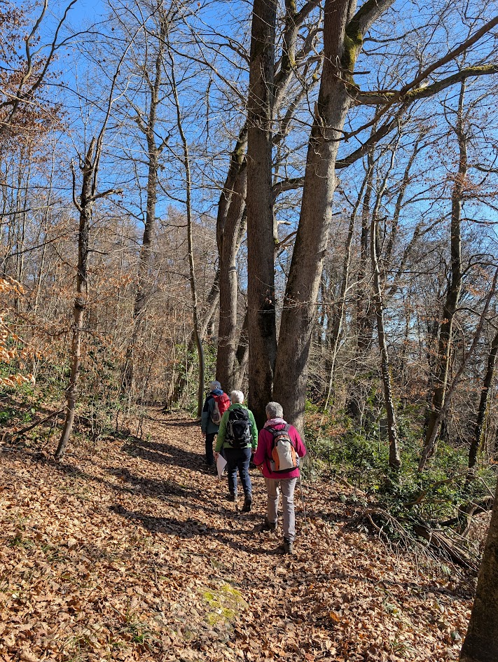 2026_Blue-wa-vortour (8).jpg