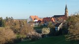 binsdorf (14)